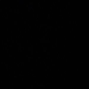 Meet your Posher, Vince